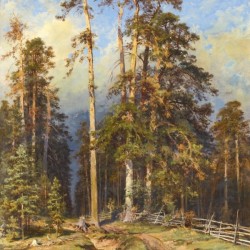 Entering forest